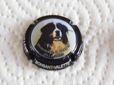 Capsule champagne bonsant d'occasion  Montmort-Lucy