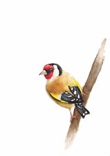 Goldfinch original watercolour for sale  THORNTON-CLEVELEYS