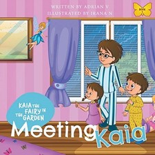 Vanderkley kaia fairy for sale  SWINDON