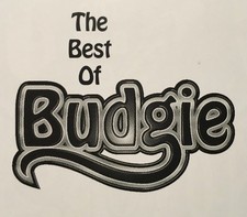 Budgie burke shelley for sale  WARRINGTON