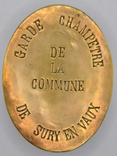 Plaque métier sury d'occasion  Mirebeau-sur-Bèze