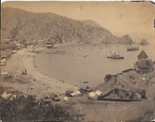 Fotografia de gabinete Bertrand & Co de Catalina Harbor, Califórnia 1892-1895, usado comprar usado  Enviando para Brazil