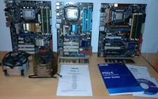 Asus p5q p5q gebraucht kaufen  Merchweiler