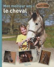 Meilleur ami cheval d'occasion  Hennebont