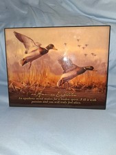 Explore discover mallard for sale  Round Lake