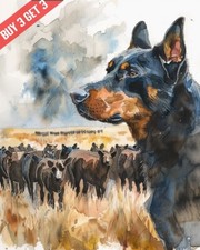 Stampa acquerello beauceron usato  Spedire a Italy