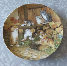 Seltmann weiden katzen gebraucht kaufen  Flachslanden
