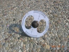 Timing wheel pin for sale  Los Angeles