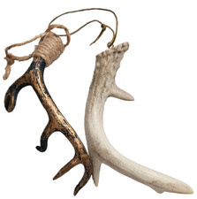 Lot deer antler for sale  Madill