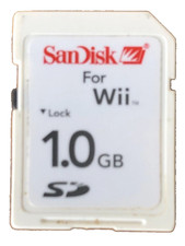 Memory card sandisk usato  Avellino