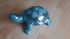 Schildkröte silberdistel faye gebraucht kaufen  Göttin, -Neustadt