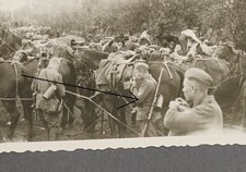 Foto wk2 konvolut gebraucht kaufen Foto wk2 konvolut gebraucht kaufen  Neubrandenburg-Umland