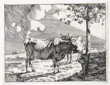 Marc bye paulus d'occasion Marc bye paulus d'occasion  Paris II