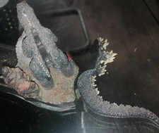 godzilla figuren gebraucht kaufen godzilla figuren gebraucht kaufen  Buschkämpen