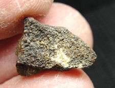 Nwa 4777 meteorite for sale  Hebron