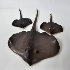 Devil fish long for sale  WESTCLIFF-ON-SEA