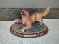 Bradford golden spirit for sale  Grafton