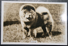 Cartão fotográfico de cachorro CHOW CHOW vintage 1939 EE02M comprar usado  Enviando para Brazil