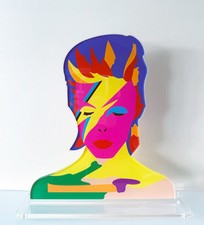 Heroes david bowie usato  Caserta