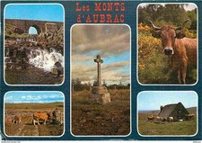 Animaux vaches monts d'occasion  Fruges