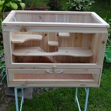 rennmaus gebraucht kaufen rennmaus gebraucht kaufen Alfeld (Leine)