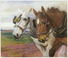 Pair plough horses for sale  BARNSLEY