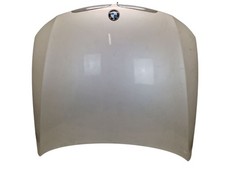 Motorhaube 354 titansilber gebraucht kaufen  Bad Nauheim