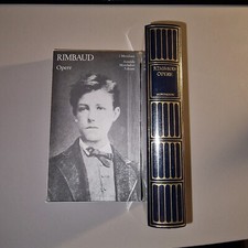 Arthur rimbaud opere usato  Asola