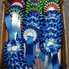 Rosettes job lot for sale  YELVERTON