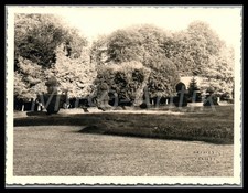 Foto wk2 fra gebraucht kaufen Foto wk2 fra gebraucht kaufen  Grammetal