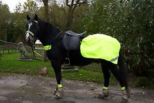 Viz yellow horse for sale  BELPER