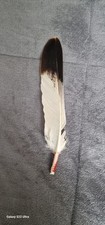 Nordamerika gebraucht kaufen Nordamerika gebraucht kaufen Schwerin
