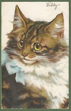 Artist drawn cat for sale  HAYWARDS HEATH