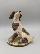English springer brittany for sale  SITTINGBOURNE