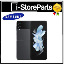 Flip ricondizionato 128gb usato  Italia