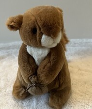 Eden peter rabbit for sale  Spring