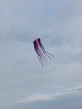 Octopus kite for sale  REDCAR