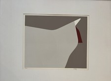 Arturo bonfanti usato  Nettuno