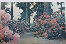 Oregon portland rhododendron for sale  Wilmington