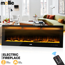 Electric fireplace insert for sale  USA