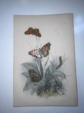 Original antique hand for sale  Lanexa