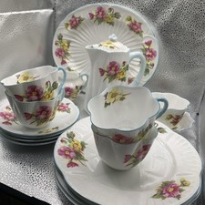 Shelley begonia tea for sale  Homestead