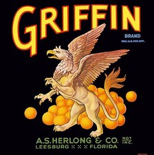 Leesburg florida griffin for sale  La Verne