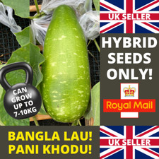Brand new bangla for sale  LONDON