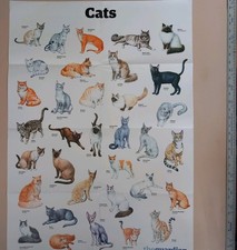 Guardian wallchart wall for sale Guardian wallchart wall for sale  YEOVIL
