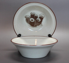 Noritake stoneware desert for sale  Clarkston