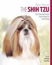 Shih tzu best for sale  UK