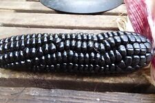 Maize morado black for sale  Espanola