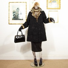 Vintage 1980s persian for sale Vintage 1980s persian for sale  LONDON