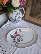 Plat oval hbcm d'occasion  Villeneuve-la-Guyard
